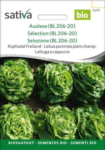 Kopfsalat<br>Auslese (BL 206-20)