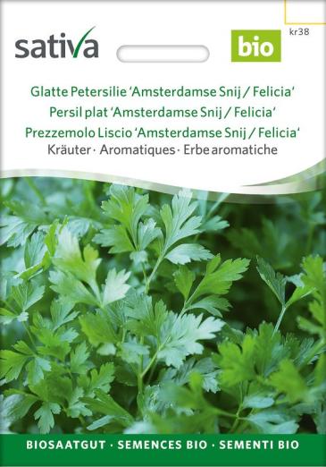 Glatte Petersilie<br>Felicia
