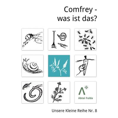 Abtei Fulda:<br>Comfrey - was ist das?