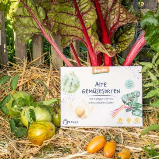 Bio SaatgutSet 'Alte Gemüsesorten'