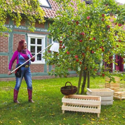 Obstpflücker verzinkt
