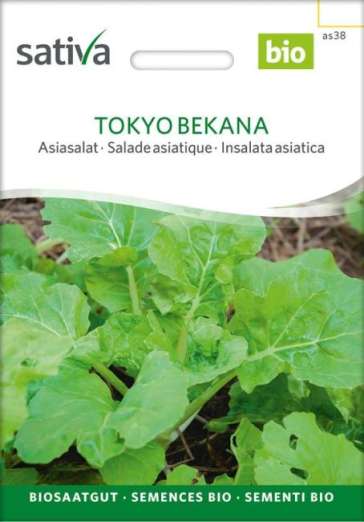 Asia-Gemüse<br>Tokyo Bekana