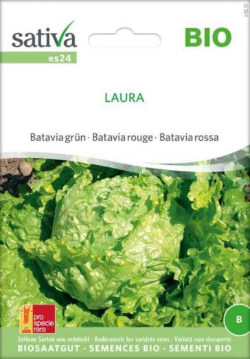 Bataviasalat<br>Laura