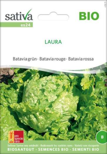 Bataviasalat<br>Laura