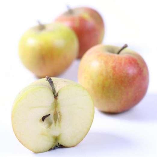 Apfel Cox Orange