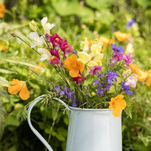 einjährige Blumenmischung<br>Sommerstrauß