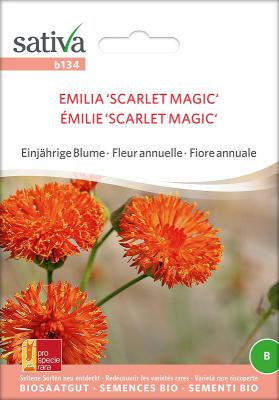 Quastenblume/ Emilie<br>Scarlet Magic