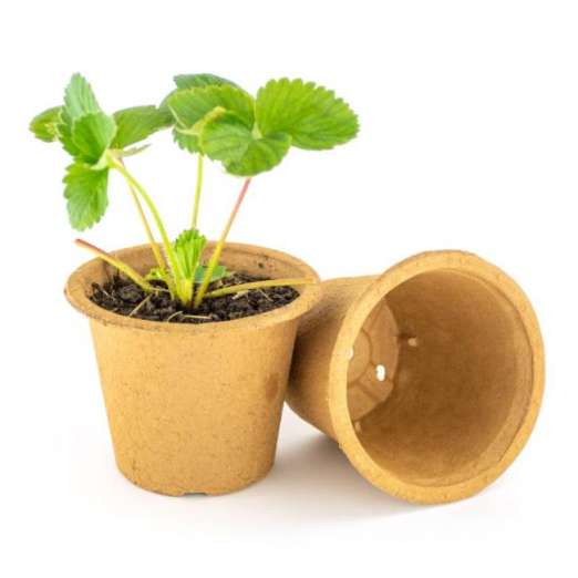 Fertilpot-Anzuchttopf rund NT<br>12 cm, 12 Stück