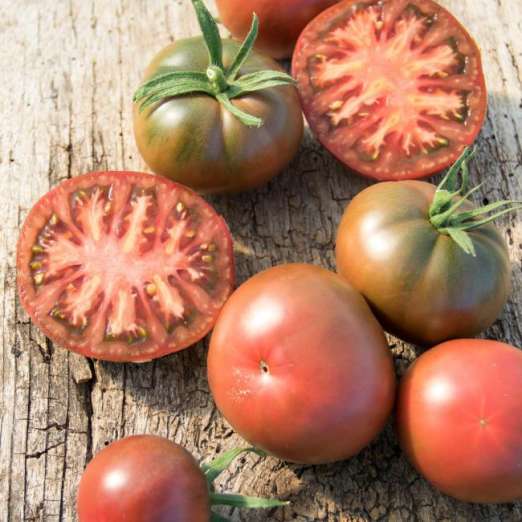 Fleischtomate<br>Lila Sari