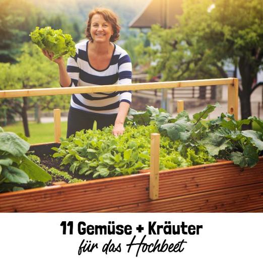 Saatgut-Geschenkset<br>Anfängergemüse für das Hochbeet