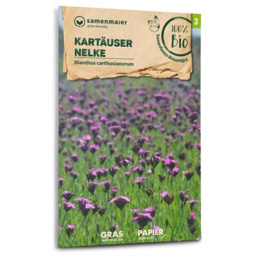 Bio Wildblumen<br>Kartäuser Nelke