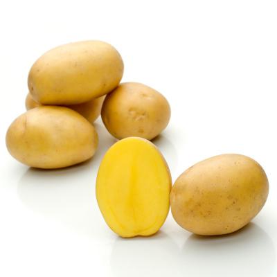 Belmonda, bio