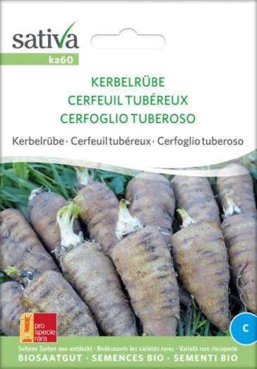 Kerbelrübe
