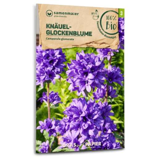 Bio Wildblumen<br>Knäuel-Glockenblume
