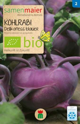 Kohlrabi<br>Delikatess blau