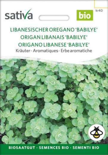 Libanesischer Oregano<br>Babilye