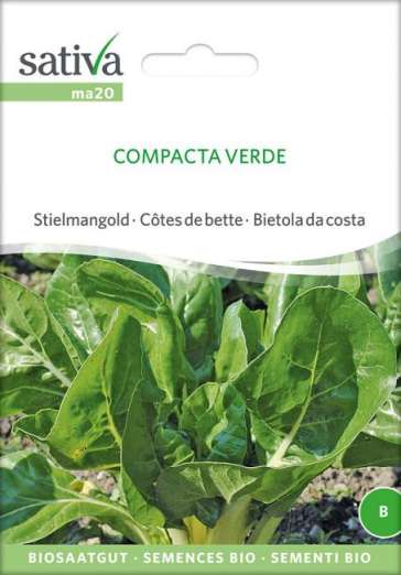 Mangold<br>Compacta verde