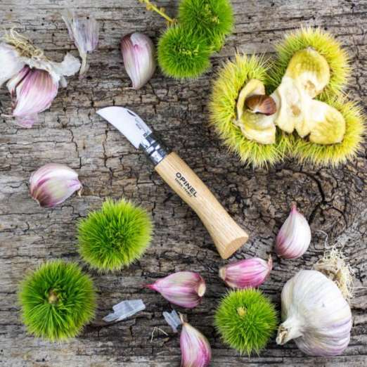 Opinel Knoblauch- und Kastanienmesser