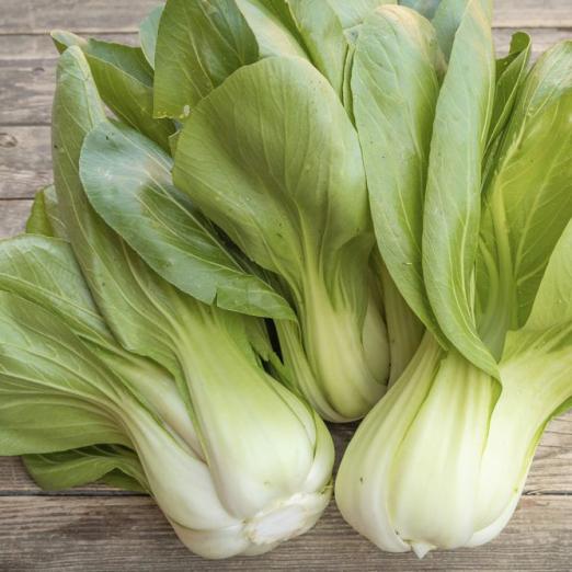 Pak Choi<br>Yorokobi
