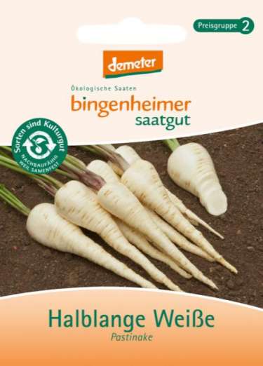 Pastinake Stella<br>(ehemals: Halblange Weiße)