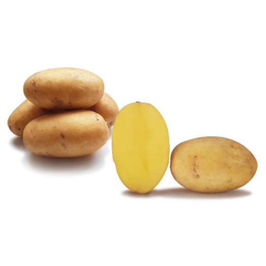 Nola<br>Pflanzkartoffeln, bio