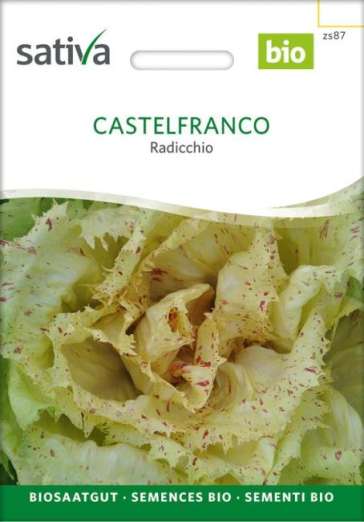 Radicchio<br>Castelfranco