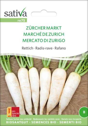Rettich<br>Zürcher Markt