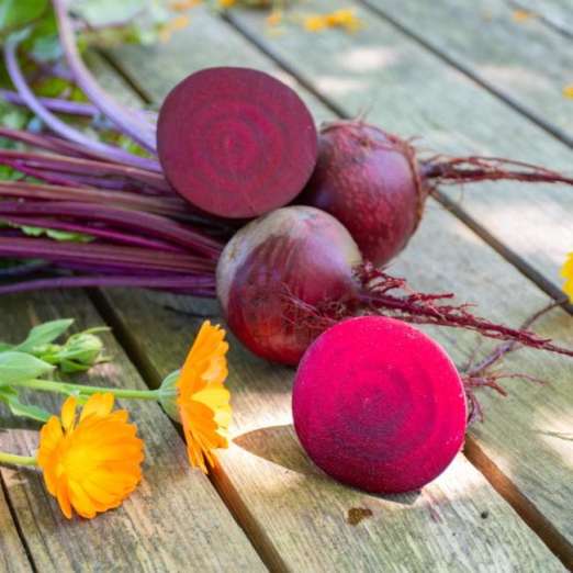 Rote Bete<br>Gesche SG