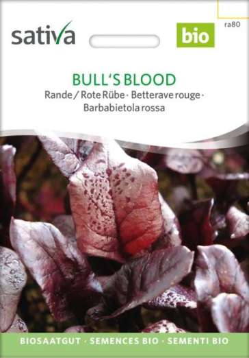 Rote Bete<br>Bull´s Blood