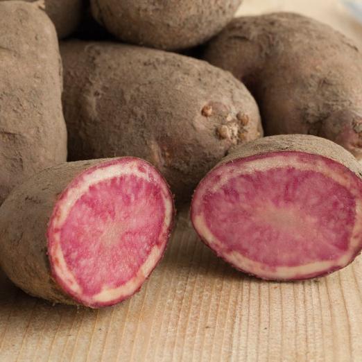Mulberry Beauty<br>Pflanzkartoffeln