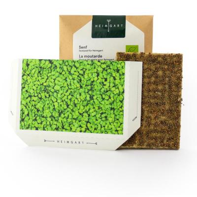 Saatpad Radieschen<br>für Microgreens Starter-Kit
