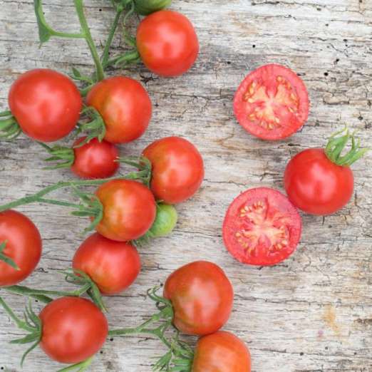 Salattomate<br>Stupice