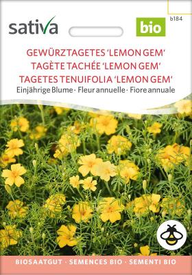 Tagetes<br>Lemon Gem