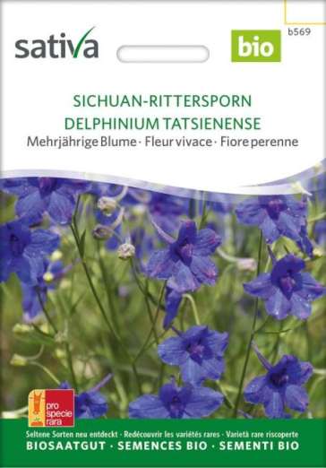 Sichuan-Rittersporn