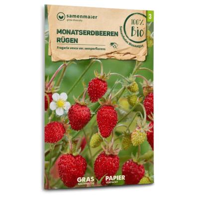 Erdbeersamen<br>Monatserdbeere Rügen