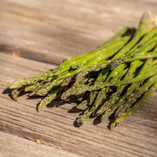 Wildspargel<br>Amaro Montina