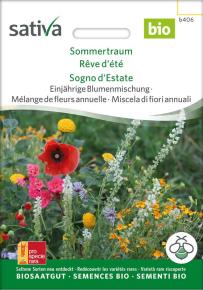 einjährige Blumenmischung Sommertraum
