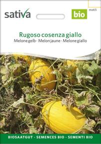 Honigmelone Rugoso cosenza giallo