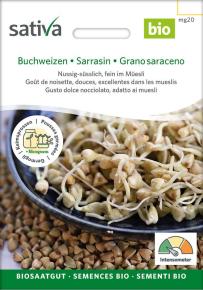 Keimsprossen Buchweizen