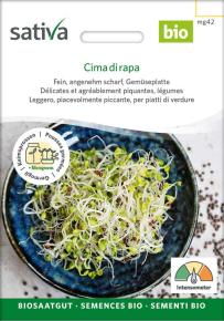 Keimsprossen Cima di rapa