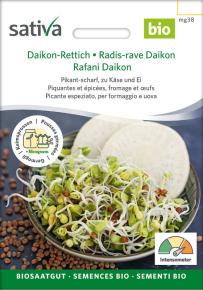 Keimsprossen Daikon-Rettich