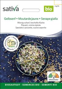 Keimsprossen Gelbsenf