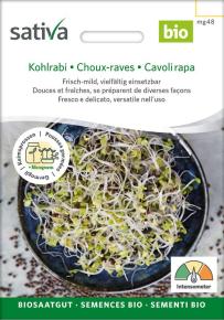 Keimsprossen Kohlrabi