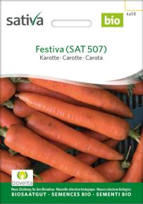 Möhre Festiva (SAT 507)