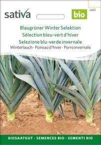 Porree Blaugrüner Winter Selektion