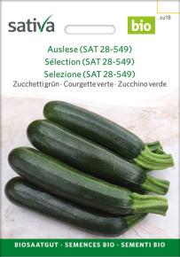 Zucchini Auslese (SAT 28-549)