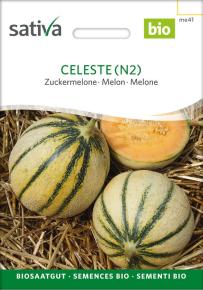 Zuckermelone Celeste