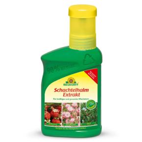 Schachtelhalm Extrakt