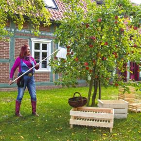 Obstpflücker verzinkt
