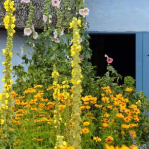Blumenmischung Bauerngarten für 100 m²